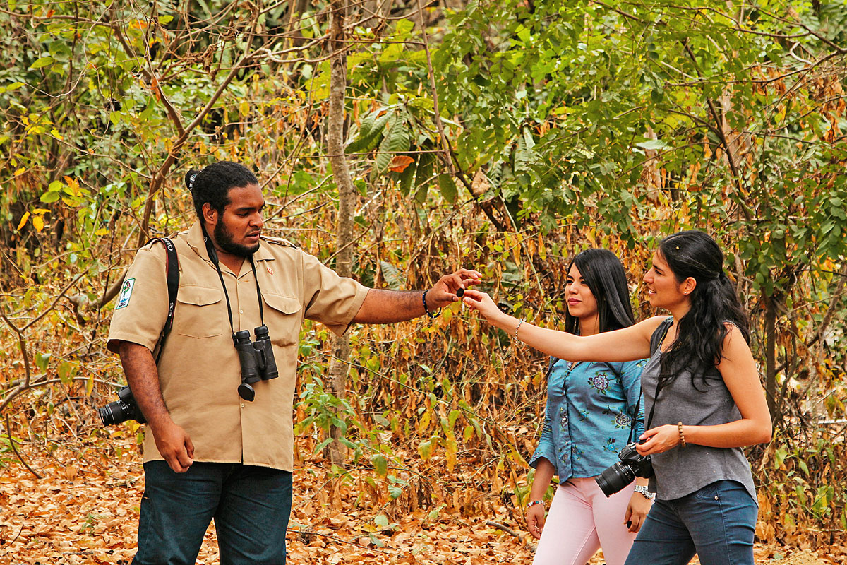 Licencias de Turismo en Continente Portal